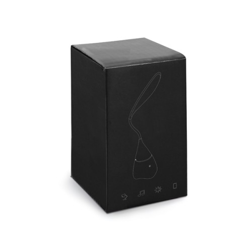 Caixa de Som Com Luminária Personalizada Caixa de Som Com Luminária Personalizada